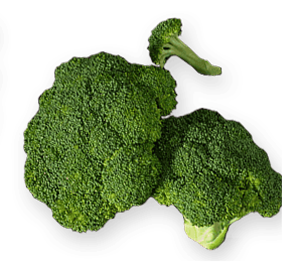 Broccoli