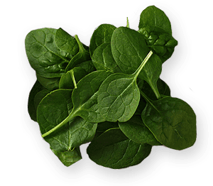 Spinach